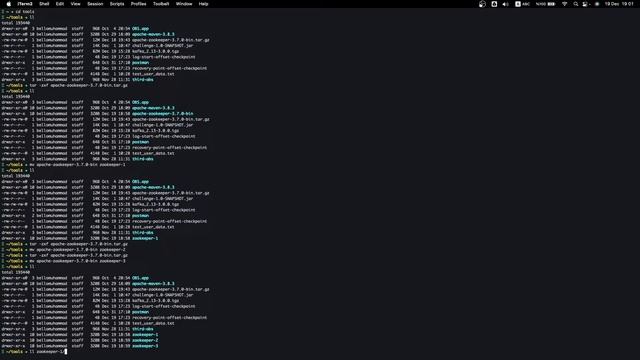 Installing Zookeeper Standalone (locally) 04 смотреть онлайн