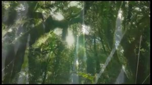 "В начале сотворил Бог небо и землю..."