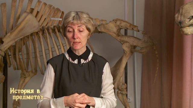 ИСТОРИЯ В ПРЕДМЕТАХ. Череп бизона смотреть онлайн