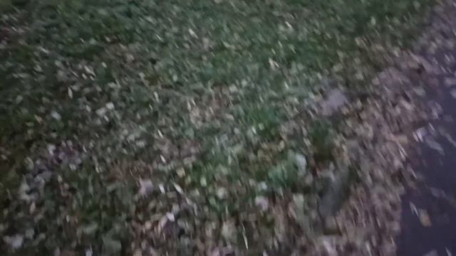 ПАРК в ПОДМОСКОВЬЕ/РАМЕНСКИЙ парк/ПРОГУЛКА