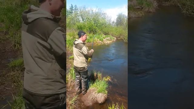 Рыбалка ЛЕНОК ЕАО смотреть онлайн