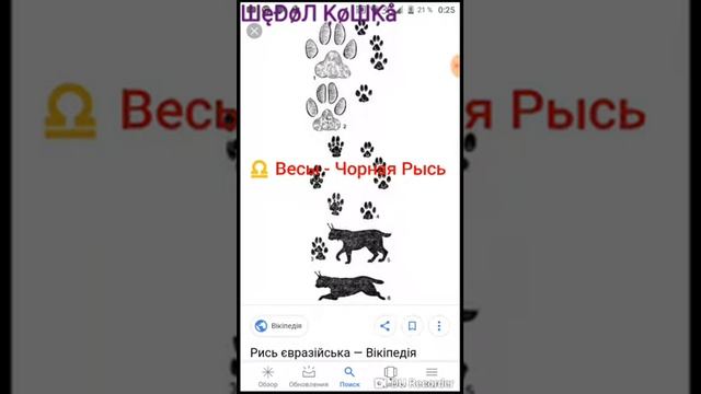 Какой ты Рысь по знаку зодиака смотреть онлайн