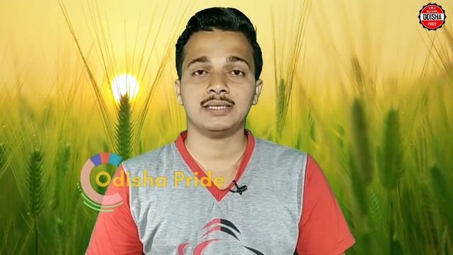Pm Ujjawala yojona 3 free gas booking process/Garib kalyan yojona 2020,how to book gas cylider odia смотреть онлайн