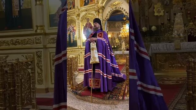 проповедь владыки питирима-21 января смотреть онлайн
