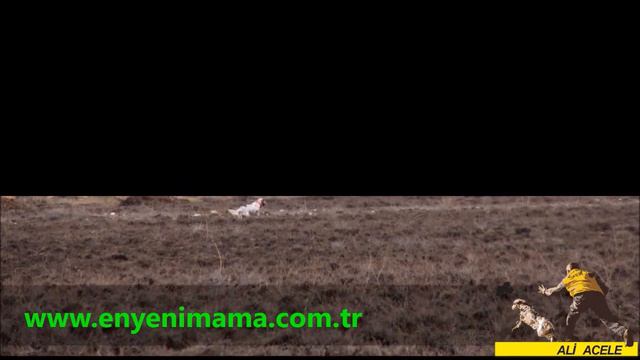 ALİ ACELE DEL SANGARİOS ANADOLU EĞİTİM TURLARI 2019 DAĞ ORMAN AVLARI FİLTRİAL EĞİTİM VE REHABLİTE Ç смотреть онлайн