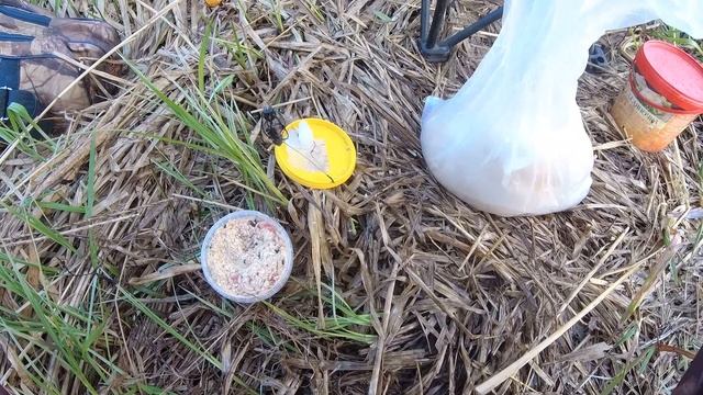 На рыбалку в голубые дали .Нерест леща . А там сети кругом . смотреть онлайн