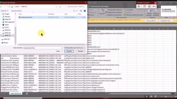 Import Excel (csv) UTF-8