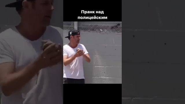 Грамотно размазал копа) смотреть онлайн