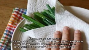 Лучшие рекомендации: как сохранить лук в домашних условиях в квартире