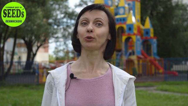 Газонная трава. Газон для детей. Газон для детской площадки смотреть онлайн