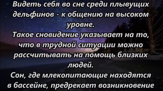 К чему снятся дельфины смотреть онлайн