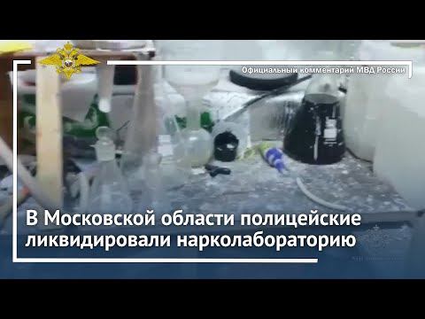 Ирина Волк: В Московской области полицейские ликвидировали нарколабораторию смотреть онлайн