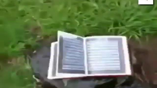 Шиахоро бишносед. смотреть онлайн