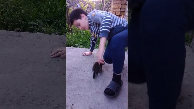 У меня появился котенок! Кто это? Как определить пол котенка? Кот или Кошка??? смотреть онлайн