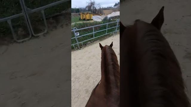 PETITE RIDE VUE D EN HAUT SUR UMBERTO. смотреть онлайн