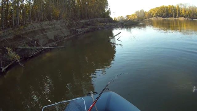 Крупный окунь под корягой! Ностальгия по летним местам. смотреть онлайн