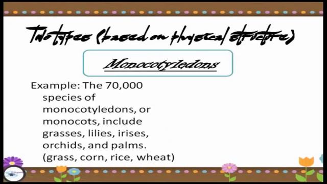 Flowering Plants | Definition | Characteristics | Types Based On Physical Structure | Flower Anatom смотреть онлайн