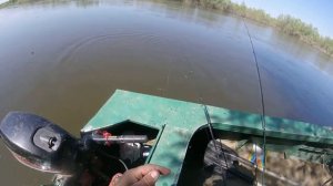 Рыбалка в Астрахани с егерем Саней ловля на живца