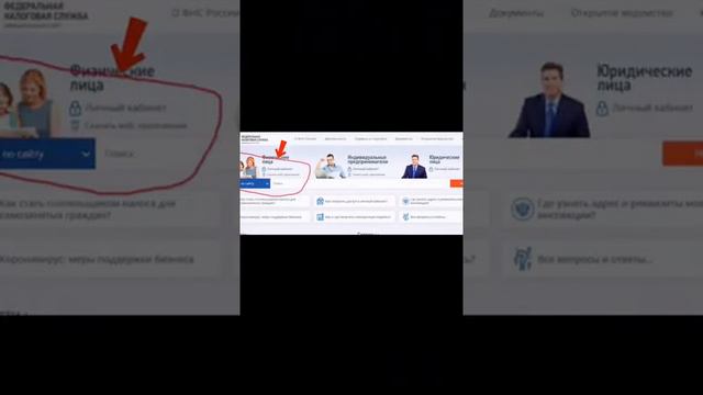 Оценка и критика