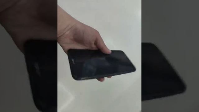 Видео №354431