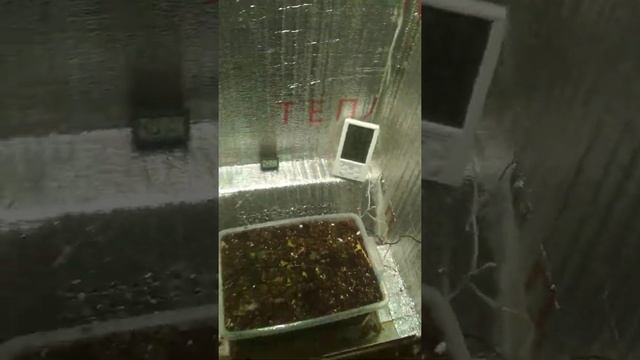 Как у меня получилось собрать Гроубокс ! смотреть онлайн