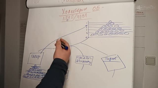 Как снизить холестерин - Часть 1 смотреть онлайн