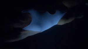 В океанской воде