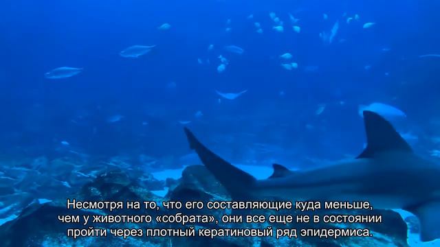 Держать лицо: развеиваем мифы о коллагене смотреть онлайн