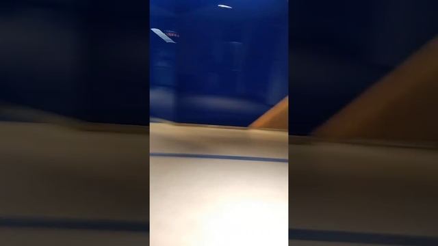 Вродсловский автовокзал смотреть онлайн