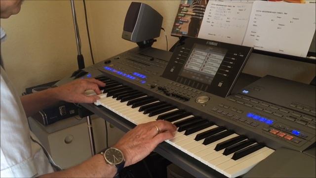 How to play "Samba Pa Ti - Santana" by R'Keys (Reinhard W.) смотреть онлайн