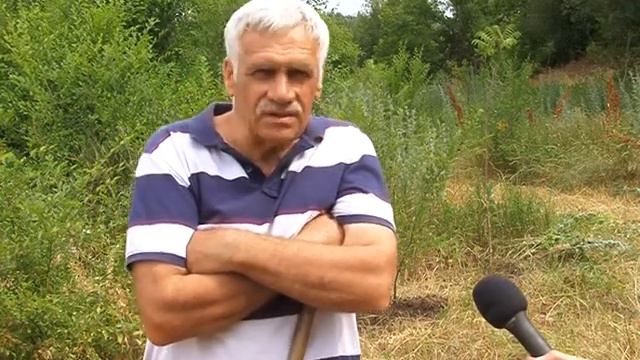 Догляд за деревами смотреть онлайн