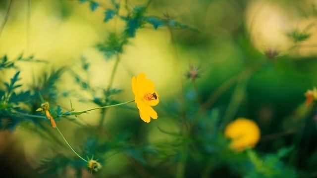 4 апреля. Кто празднует день Ангела Хранителя. Именины Ангела Хранителя по церковному календарю. смотреть онлайн