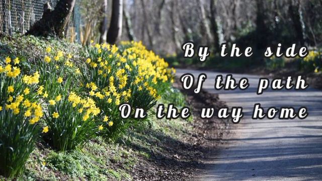 DAFFODILS смотреть онлайн