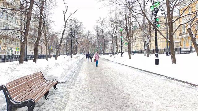 Honor Magic 5 тест видео 28 января 2024 г. смотреть онлайн