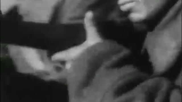 Серые Волки ч.2 смотреть онлайн