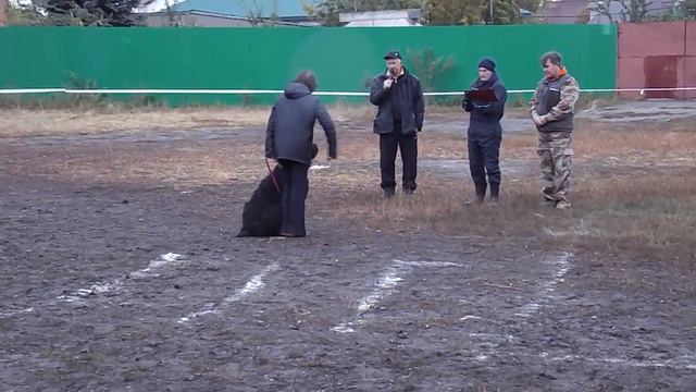 Дебют-1. Якушина Л.В. и Самросс Государственная Дума смотреть онлайн
