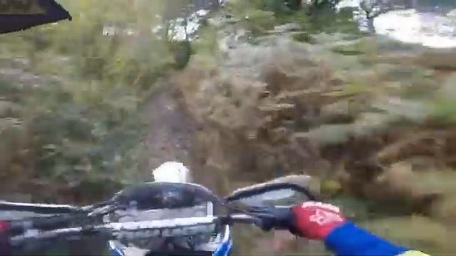 Honda crf 250x 2016 смотреть онлайн