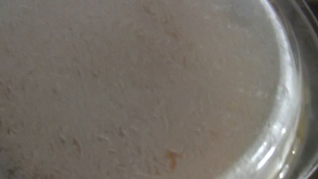 Как работает холодильник при -20С (январь 2016)