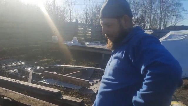 ДЕЛА САДОВО ОГОРОДНЫЕ.?? САЖАЕМ ВИНОГРАД, ПОМИДОРЫ ПОД ЗИМУ. смотреть онлайн