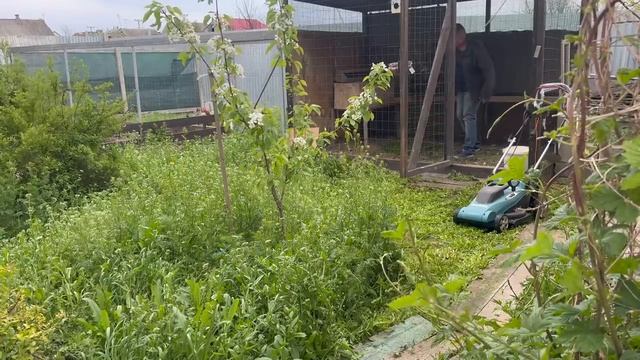 с МАСЯМБОЙ пылесосим траву в огороде и угощаем МАТРЁШЕК вкусняшками смотреть онлайн