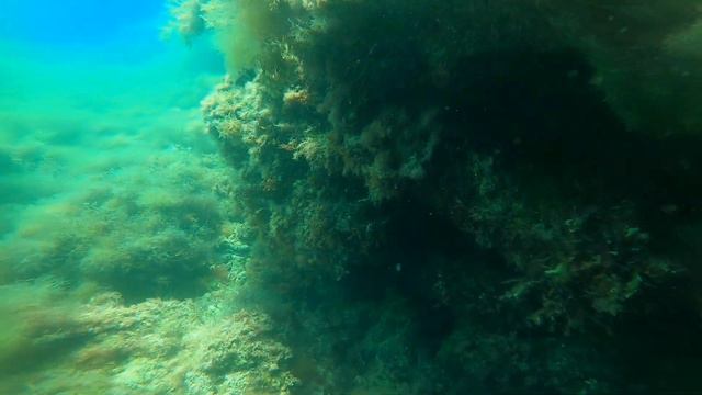 Дайвинг смотреть онлайн