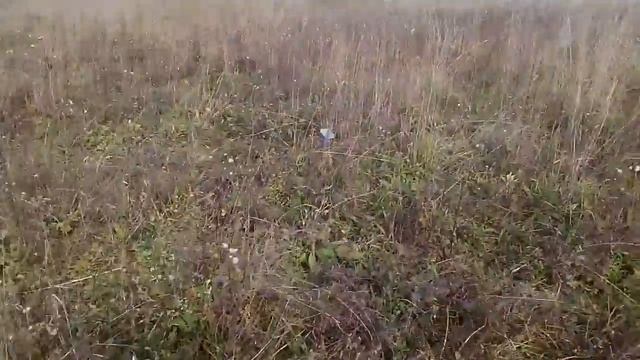 Снова "в землю" (29-ый запуск "забавной" ракеты) смотреть онлайн
