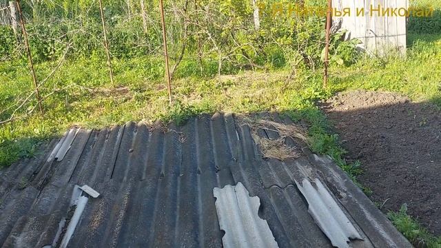 Ездили в Кущевку/Приготовила солянку/Посадили огурцы смотреть онлайн