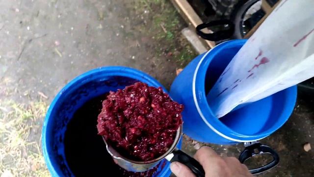 Куда девать ягоду от настоек и наливок. смотреть онлайн