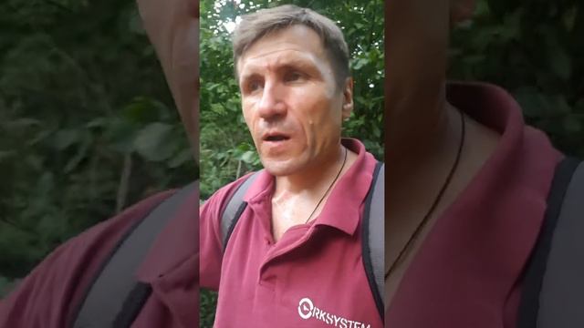 ПОЛЬЗА ЛЕСНЫХ ПРОГУЛОК И СПОРТЗАЛА смотреть онлайн