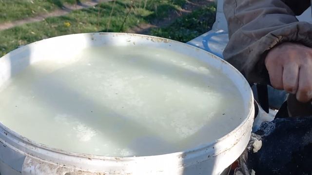 сыворотка как пробиотик методом опрыскивания междурамок. смотреть онлайн