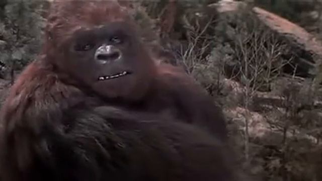 Honeymoon Ridge (King Kong Lives 1986) - Trilha sonora смотреть онлайн