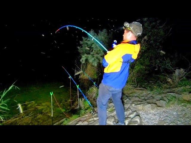 ОНИ ЖИВУТ ПОД КОРАБЛЯМИ !!! СОМ. ДОНКИ. НОЧЬ! РЫБАЛКА НА СОМА С НОЧËВКОЙ смотреть онлайн