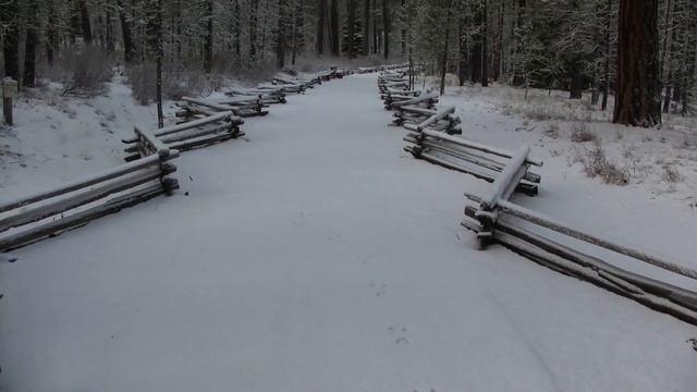 Snow, tracks. Следы на снегу (206sp) смотреть онлайн