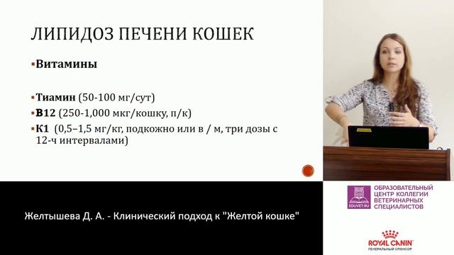 Желтышева Д. А. - Липидоз печени кошек смотреть онлайн